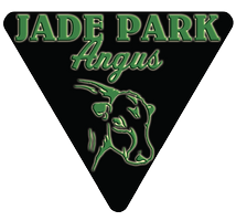 Jade Park Angus - Angus Bulls for sale